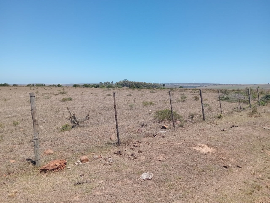 Commercial Property for Sale in Humansdorp Rural Eastern Cape